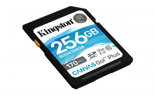 Kingston-Technology-Canvas-Go-Plus-memoria-flash-256-GB-SD-Clase-10-UHS-I-0740617301519-PN-SDG3256GB-Ref.-Articulo-1335183-1