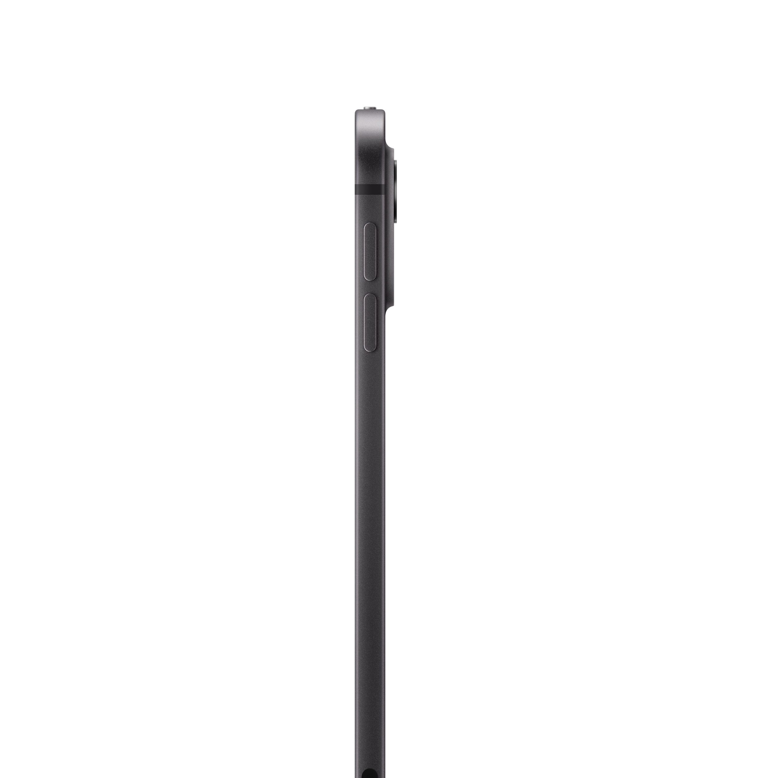 0195949229060-APPLE-IPAD-PRO-MVW13TYA-256GB-WIFICELLULAR-11-WITH-STANDAR-GLASS-SPACE-BLACK-1098-1