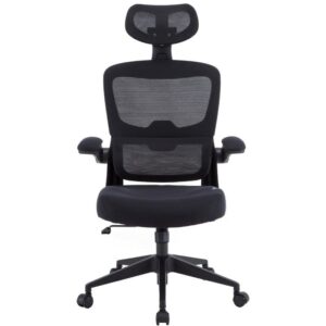 Silla Gaming Woxter Ergo/ Negro 8435089038026 GM26-107 WOX-SILLA ERGO BK