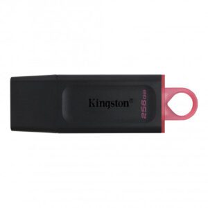 Kingston Technology DataTraveler Exodia unidad flash USB 256 GB USB tipo A 3.2 Gen 1 (3.1 Gen 1) Negro 0740617310023 | P/N: DTX/256GB | Ref. Artículo: 1337709