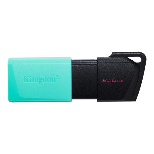 Kingston Technology DataTraveler Exodia M unidad flash USB 256 GB USB tipo A 3.2 Gen 1 (3.1 Gen 1) Negro