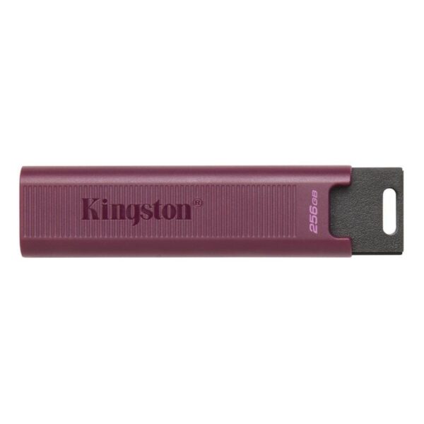 Pendrive 1TB Kingston DataTraveler Max USB 3.2 - Imagen 2