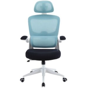 Silla Gaming Woxter Ergo/ Azul 8435089038033 GM26-108 WOX-SILLA ERGO BL