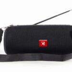 ALTAVOZ PORTATIL GEMBIRD SPK-BT-17 COM RADIO FM 2X5W RMS BLUETOOTH NEGRO 8716309105538 SPK-BT-17