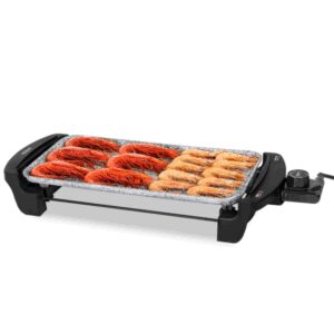 PLANCHA DE ASAR CECOTEC ROCK AND WATER 2000 8435484030526 03052