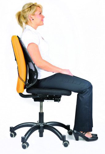 RESPALDO LUMBAR MESH PROFESS FELLOWES 8029901 - Imagen 2