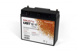 Salicru UBT 12/17 - Batería AGM recargable de 17 Ah 8436035922536 | P/N: 013BS000004 | Ref. Artículo: 1331538