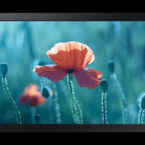 Samsung QB13C 33 cm (13") LCD Wifi 500 cd / m² Full HD Negro 16/7 8806097407300 | P/N: LH13QBCEBGBXEN | Ref. Artículo: 1401966