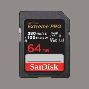 SanDisk SDSDXEP-064G-GN4IN memoria flash 64 GB SDXC UHS-II Clase 10 0619659202125 | P/N: SDSDXEP-064G-GN4IN | Ref. Artículo: 1391136
