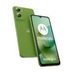 0840493605289 MOTOROLA G06 4+256GB DS PANTONE TENDRIL GREEN OEM 69