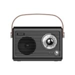 5901986049647 RADIO PORTATIL SAVIO RS-01 BLACK-BROWN RS-01 A0058593 savio Sonido RS-01