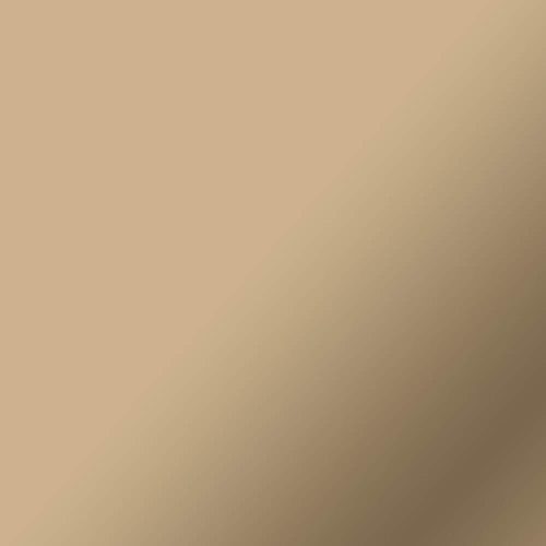 Cricut 2011610 vinilo adhesivo Permanente Champán Mate - Imagen 2