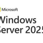 MICROSOFT WINDOWS SERVER STDR 2025 64BIT ESP 1PK DSP OEI DVD 16 CORE 0196388487202 | P/N: EP2-25197 | Ref. Artículo: 1400344