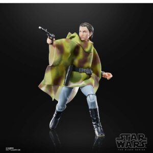 5010996133168 | P/N: F70515X2 | Cod. Artículo: DSP0000013518 Figura hasbro the black series 40th aniversario star wars: return of the jedi - princesa leia (endor)