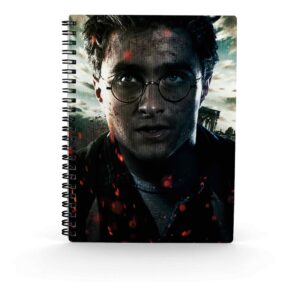 8435450250392 | P/N: WRN25039 | Cod. Artículo: DSP0000006021 Libreta efecto 3d sd toys harry potter cara harry potter