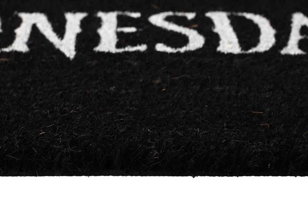 Felpudo 60x40 cm logo wednesday - Imagen 4