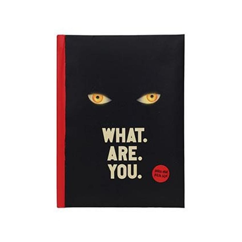 8435450268724 | P/N: SDTWRN26872 | Cod. Artículo: MGS0000030996 Libreta sd toys it bienvenido a derry what are you con luz