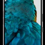 Nothing Phone (3a) 17