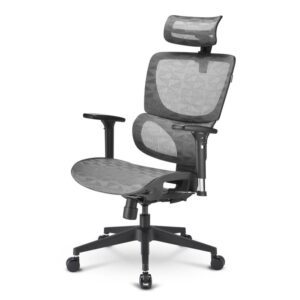 SILLA SHARKOON OFFICEPAL C30M NEGRA 4044951038565 4044951038565