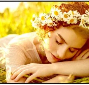 LG (65UL5Q-E) 65 IN (65UL5Q-E.AEUQ) 8806096602164 | P/N: 65UL5Q-E | Ref. Artículo: 1402386