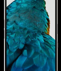 Nothing Phone (3a) Pro 17