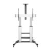 Soporte de Suelo Inclinable con Ruedas y Manivela Aisens FT100TE-125 para TV 60-100"/ hasta 100kg 8436574707427 FT100TE-125 AIS-SOPORTE FT100TE-125