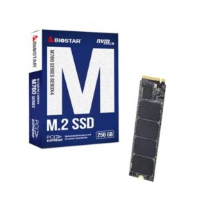4712960686571 | P/N: SA122PME36 | Cod. Artículo: DSP0000038470 Disco duro interno ssd biostar m760 256gb m.2 pci express 4.0