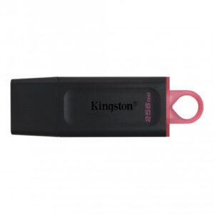 Kingston Technology DataTraveler Exodia unidad flash USB 256 GB USB tipo A 3.2 Gen 1 (3.1 Gen 1) Negro 0740617310023 | P/N: DTX/256GB | Ref. Artículo: 1337709