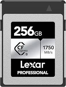 LEXAR 256GB PROFESSIONAL CFEXPRESS TYPE B CARD SILVER