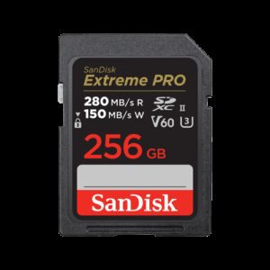 SanDisk SDSDXEP-256G-GN4IN memoria flash 256 GB SDXC UHS-II Clase 10 0619659202149 | P/N: SDSDXEP-256G-GN4IN | Ref. Artículo: 1393324