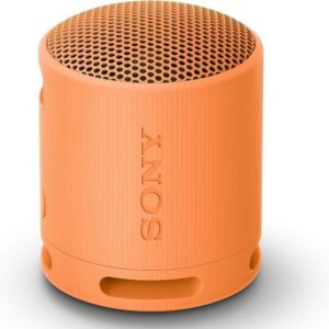 Altavoz Portable con Bluetooth Sony XB100/ 2.0/ Naranja 4548736146150 SRSXB100D.CE7 SONY-ALT XB100 OR