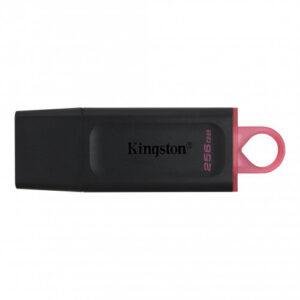 Kingston Technology DataTraveler Exodia unidad flash USB 256 GB USB tipo A 3.2 Gen 1 (3.1 Gen 1) Negro 0740617310023 | P/N: DTX/256GB | Ref. Artículo: 1337709