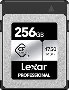 LEXAR 256GB PROFESSIONAL CFEXPRESS TYPE B CARD SILVER