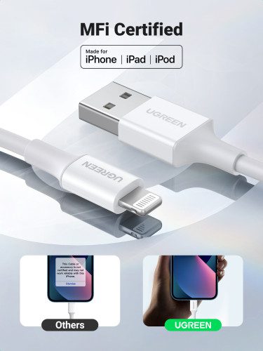 iPad Mini/Mini 2