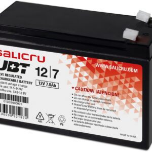 BATERIA SAI SALICRU UBT 12/7 8436035921874 013BS000001