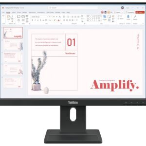 MONITOR LENOVO THINKVISION E24-40 23