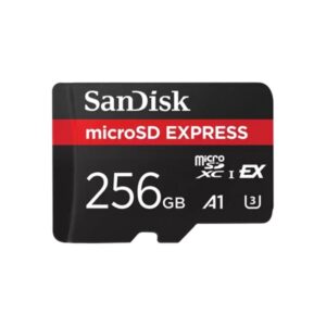 0619659202064 | P/N: SDSQXFN-256G-GN4NN | Cod. Artículo: DSP0000042850 Tarjeta memoria micro secure digital 256gb sandisk express