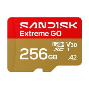 0619659227951 | P/N: SDSQXGN-256G-GN6MN | Cod. Artículo: DSP0000042849 Tarjeta memoria micro secure digital 256gb sandisk extreme go uhs - i u3
