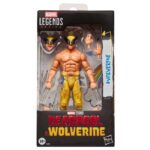 5010996411433 | P/N: G21145L0 | Cod. Artículo: MGS0000033976 Figura hasbro marvel legends marvel studios' deadpool & wolverine wolverine