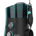 IRRIGADOR BUCAL CECOTEC BAMBA TOOTHCARE 1200 JET PRO V 8435484043151 04315