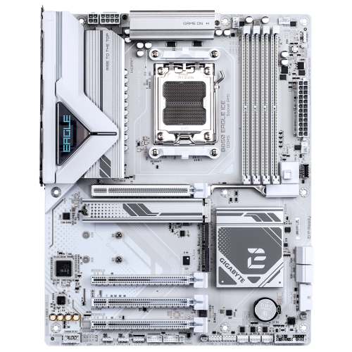 AMD